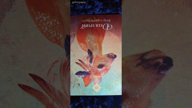 Deer Spirit ? Bring a Gentle Touch ? Spirit Animal Oracle Card Meaning смотреть онлайн