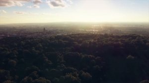 Дева в год Быка - характер