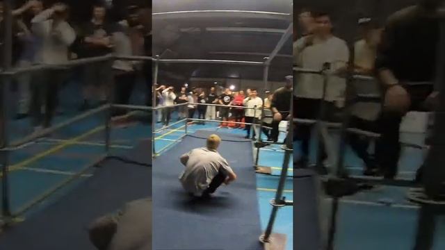 Swing dash catch 4 tlom смотреть онлайн