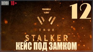 ☢ True Stalker | S.T.A.L.K.E.R. CoP mod #12 Кейс под замком