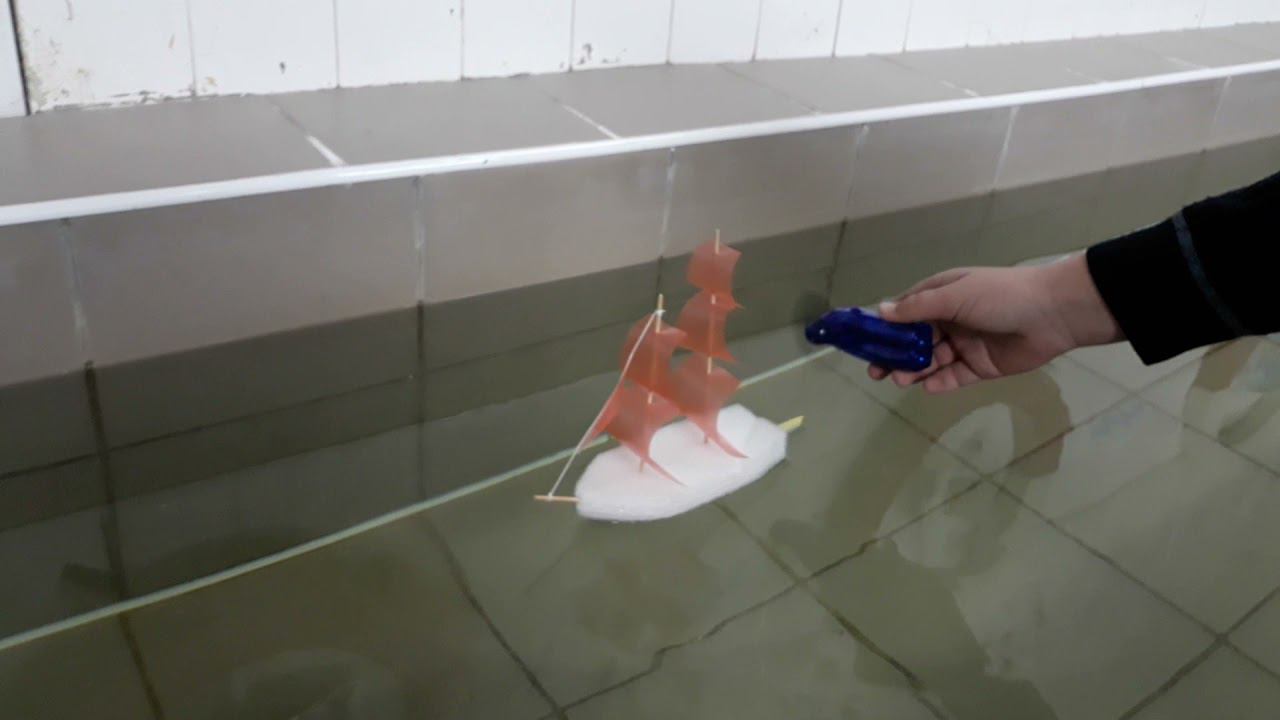 Парусник в бассейне