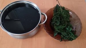 Голубей пропаиваю отваром крапивы