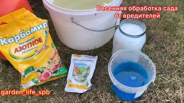 Первый этап обработки яблони и гуши весной, от вредителей и болезней.
