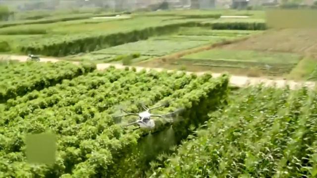 Фракция «Ак жол» требует провести открытое формирование нового Реестра системообразующих предприяти смотреть онлайн