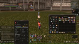 Lineage 2. Луки дракона против R110 +20/+25/+30 - на сколько отличается урон? Lineage 2 Homunculus