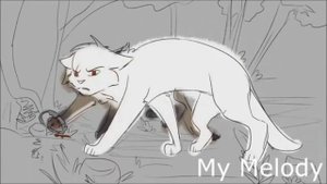 клип *коты воители Айла*