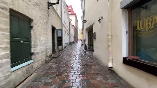 За границу на автомобиле с ребенком (Часть 2 Эстония) смотреть онлайн