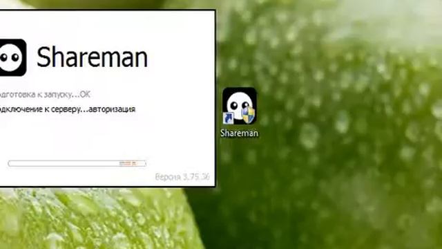 Shareman не удается подключиться к серверу. Shareman не удается подключиться к серверу