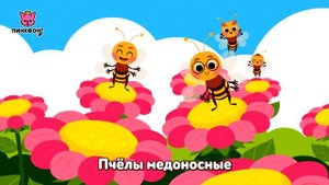 Жу-жу-жу-жу, Пчёлы | Песни про насекомых | Пинкфонг песни для детей