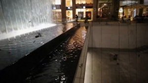 APPLE STORE Milano by night