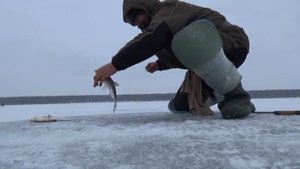 Ловля подлещика зимой на мормышку