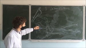 Исследование сухожильных рефлексов, двигательных функций черепно мозговых нервов у человека