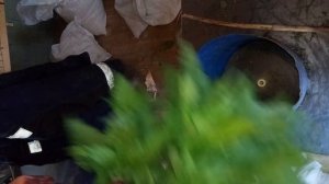 траворезка самодельная!!!