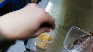 Кормление АККРа и малька в УЗВ