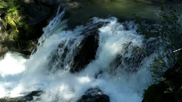 NEW Footage 20015 смотреть онлайн