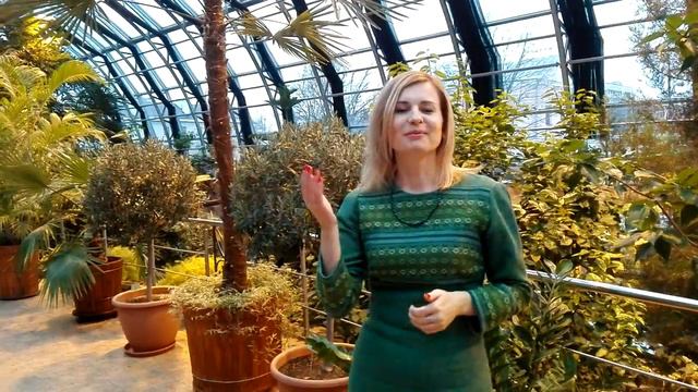 Оранжерея растений в городе Брест смотреть онлайн