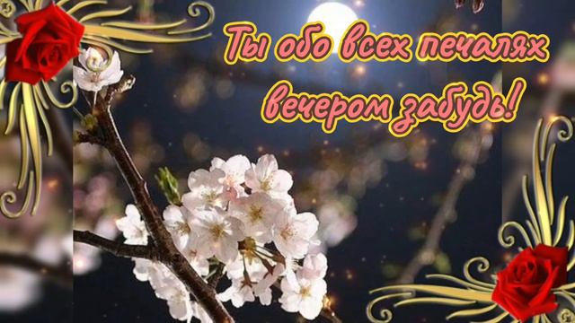 💫Доброго уютного вечера! Очень красивое пожелание!💫 #доброговечера #добрыйвечер #уютноговечера