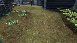 Лето у бабушки