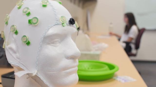 The Science of Visual Memory: How the Eye and Brain Work Together to get Things Done смотреть онлайн