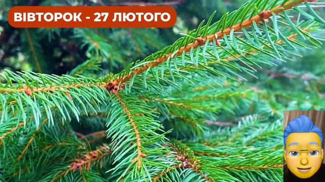 Рекордне тепло. Погода на 2 дні: 26 і 27 лютого.
