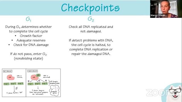 AP Biology: Unit 4/5 Review