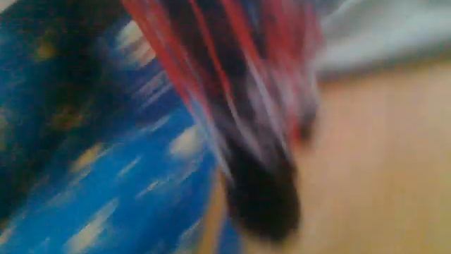 Аттракцион для домашних животных! смотреть онлайн