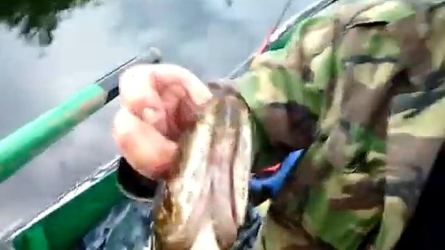 Сплав 2018 первый улов смотреть онлайн