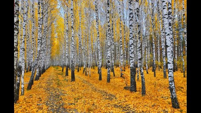 Есенин С.А. - Отговорила роща золотая смотреть онлайн