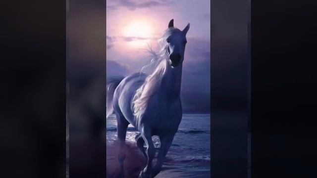 Красивые картинки!? смотреть онлайн