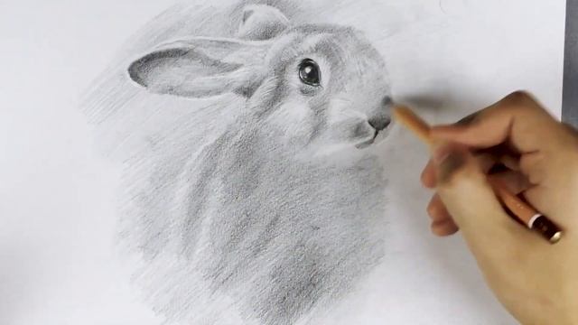 Как нарисовать зайца карандашом? / Рисуем зайчика поэтапно!