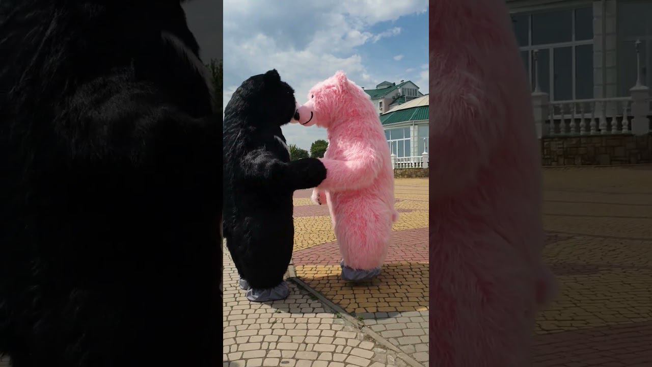 Мишки устроили драку #медведьгризли #костюммедведя #ростовоймедведь #розовыймедведь #shorts