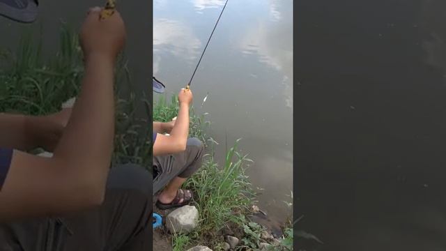 t fishing swivels @Fishing apparel #Fishing expedition @Fishing event genshin #Fishing lure смотреть онлайн