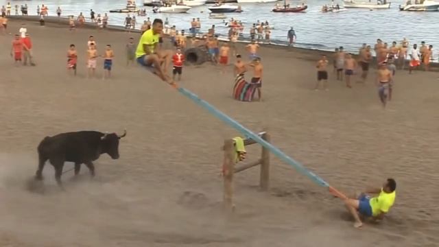 Весёлые Качели с быками, Испания, Фестиваль быков Энсьерро, funny video смотреть онлайн