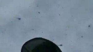 Вот Вы говорите Комары кусают посмотрите на настоящих комаров с моей Родины Якут