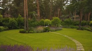 Обзор сада в сосновом бору | Сад в лесу | Ландшафтный дизайн