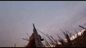ОХОТА НА УТКУ С ПРАВИЛЬНОЙ СТРЕЛЬБОЙ С ПОЛУАВТОМАТОМ. DUCK HUNTING WITH RIGHT ARROW SEMI-AUTOMATIC