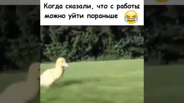 Можно уйти пораньше