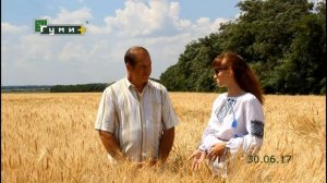 Опыт агрария// Удобрения для пшеницы без высоких затрат