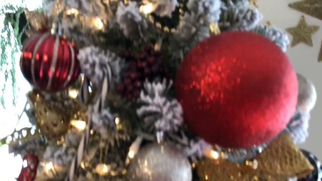 Houseplant Up Date Happy Thanksgiving!