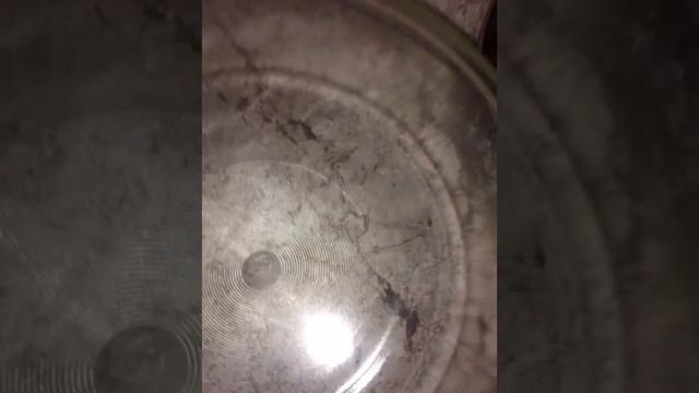 ШАМПИНЬОНЫ в духовке.Грибы запечённые