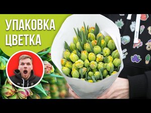 Упаковка тюльпанов в банчи. Как правильно упаковать и перевозить?