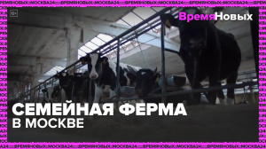 Семейная ферма в Подмосковье — Москва24|Контент