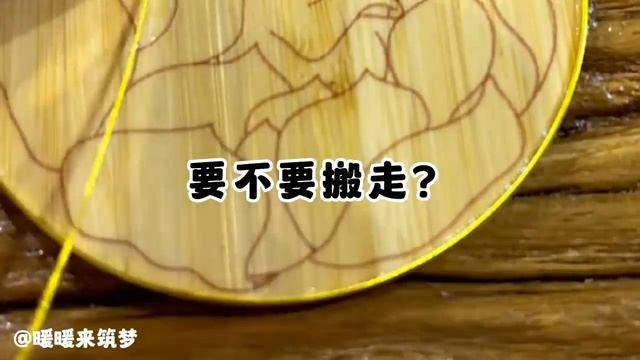（完整版）我穿到了一个有点胖的女高中生身上，手上还攥着一张皱巴巴的校花报名表，巧了，我本来是世界小姐冠军，靠着美貌和智商大杀四方