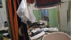 С КОШКОЙ МУРКОЙ ДОМА. ЛОВЛЮ ТАРАКАНОВ