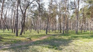 Рыбалка на Кубани. Рыбалка на "Солнечном Острове"