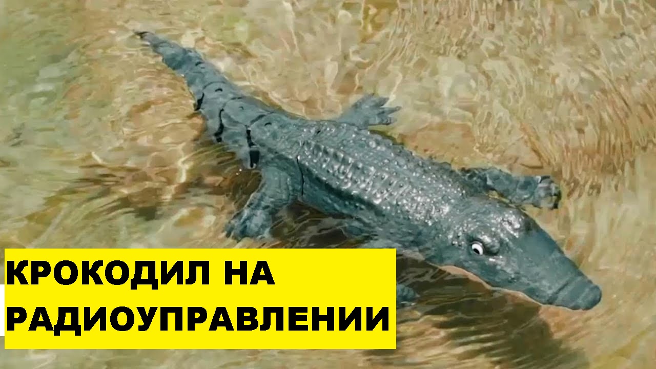 Крокодил на радиоуправлении. Плавающий робот смотреть онлайн