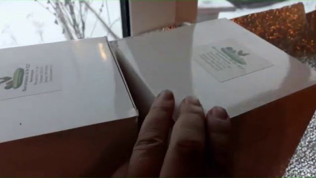 ЗАНЕСЛИ СТЕЛАЖ ДОМОЙ ПОД РАССАДУ. смотреть онлайн