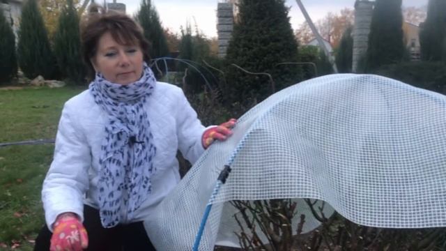 Подготовка Роз к Зиме. Часть 6. Укрытие для роз
