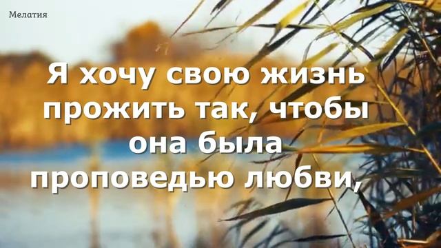 Слезы