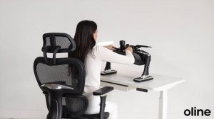 Oline ErgoPro Ergonomic Office Chair Assembly Instructions